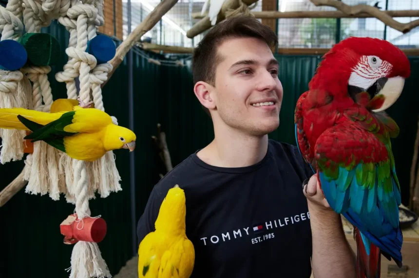 Help for the Animals Affected
